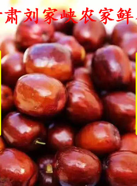 甘肃刘家峡农家当季自然长熟新鲜水果脆甜鲜枣5斤包邮