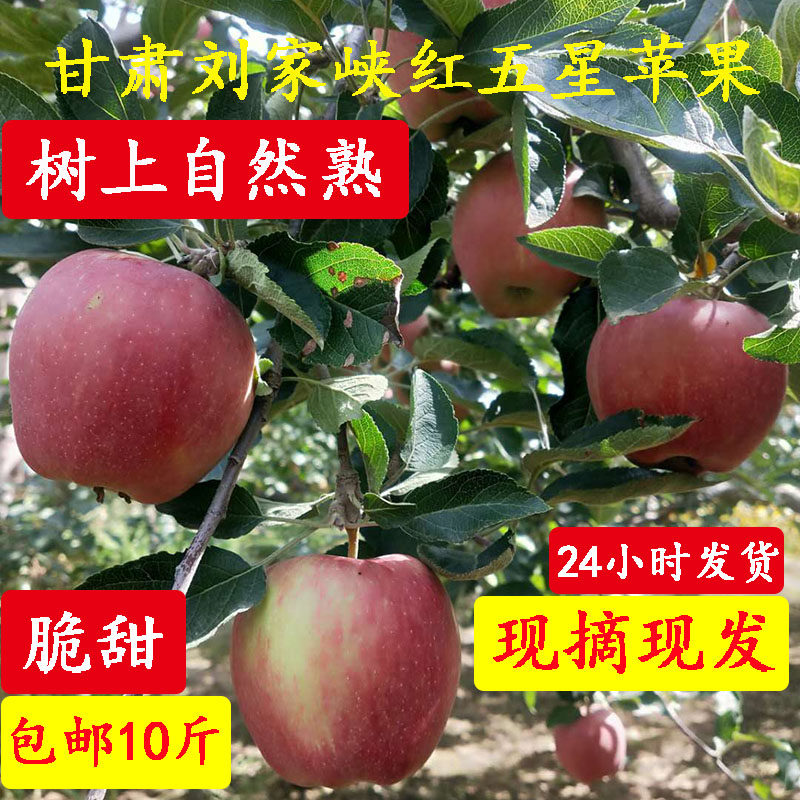 甘肃刘家峡花牛苹果红五星红香蕉红元帅刮泥果园直发有机带箱10斤