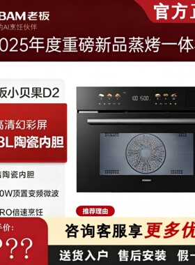 老板小贝果D2/D2U微蒸烤一体机多功能家用大容量嵌入式蒸烤箱C9MA
