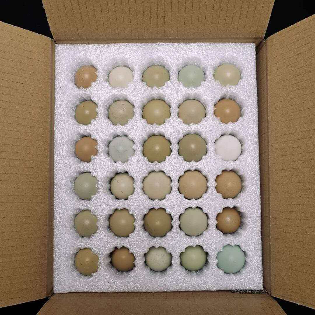 七彩山鸡蛋土鸡蛋30枚 鸡蛋新鲜 山上散养 笨柴鸡蛋 绿壳乌鸡蛋
