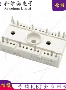 SK100WT08 SK100WT12 SK100WT16 SK75TAE12 SK30DGDL066ET