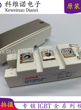 X2G75SD12P1 X2G100SD12P1 X2G100SD12P3 X2G50SD12P1