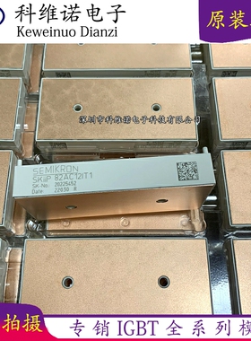 SKIIP83AC12IT1 SKIIP82AC12IT1 SKIIP81AC12IT1 SKIIP83EC125T1