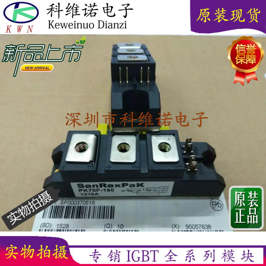 PK70F-40 PK70F-60 PK70F-80 PK70F-120 PK70F-160全新进口