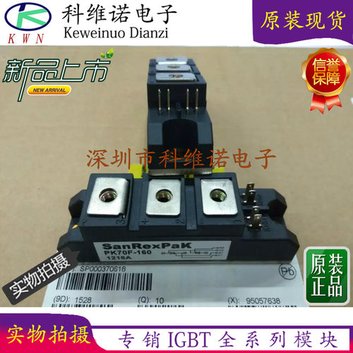 PK70F-40 PK70F-60 PK70F-80 PK70F-120 PK70F-160全新进口