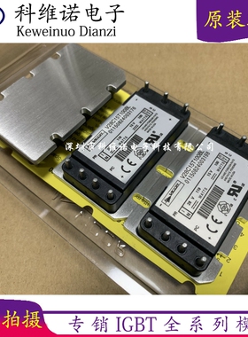 V28C15T100BL V28C15T100BG