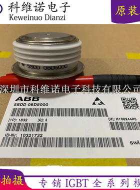 5SDD08D5000 5SDD09D6000 5SDD07D6000  5SDD50N5500 5SDD24F2800