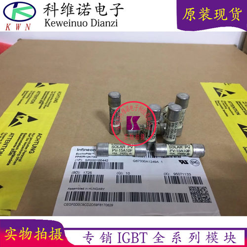 PV-12A10F PV-15A10F PV-20A10F  PV1A-10F原装进口