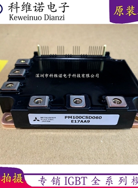 PM150CSD060 PM150CSD120 PM200RSA060 PM100CSD060 PM300 RSD060
