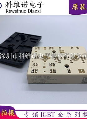 SKiiP31NAC12T4T42 SKIIP32NAB12T45 SKIIP31NAC12T2 SKIIP30NAC1