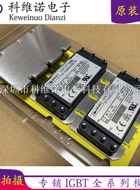 V28C15T100BL V24C15T100BL V24C12C100BL V24C24C100BL V24C28C1