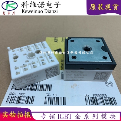 SKIIP13AC126V1 SKIIP12AC126V1 SKIIP11AC126V1 13AC12T4V