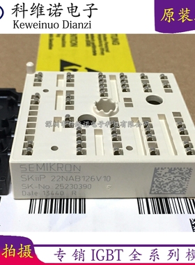 SKIIP23NAB126V1 SKIIP24NAB126V1 SKIIP22NAB126V10 K220A04 229