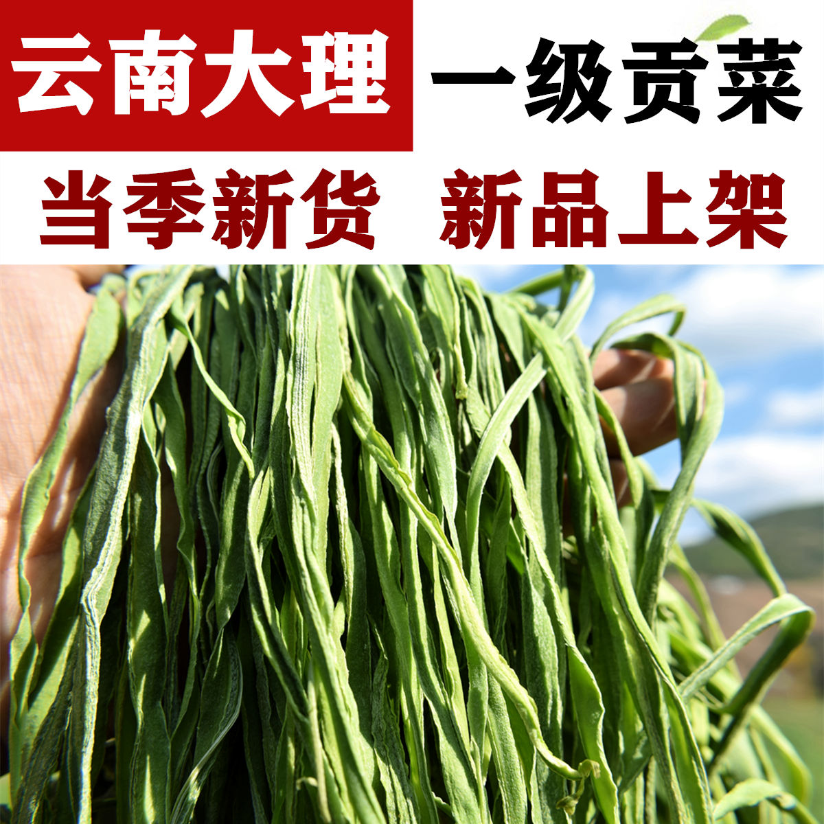 大理宾川无叶贡菜1斤干新鲜苔脱水蔬菜响菜干不黑不黄苔菜农家干