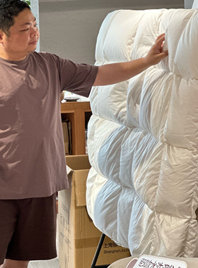 LIBON白鹅绒大朵鹅绒被臻品暖仓蓬松温暖95%绒子冬季款双人羽绒被