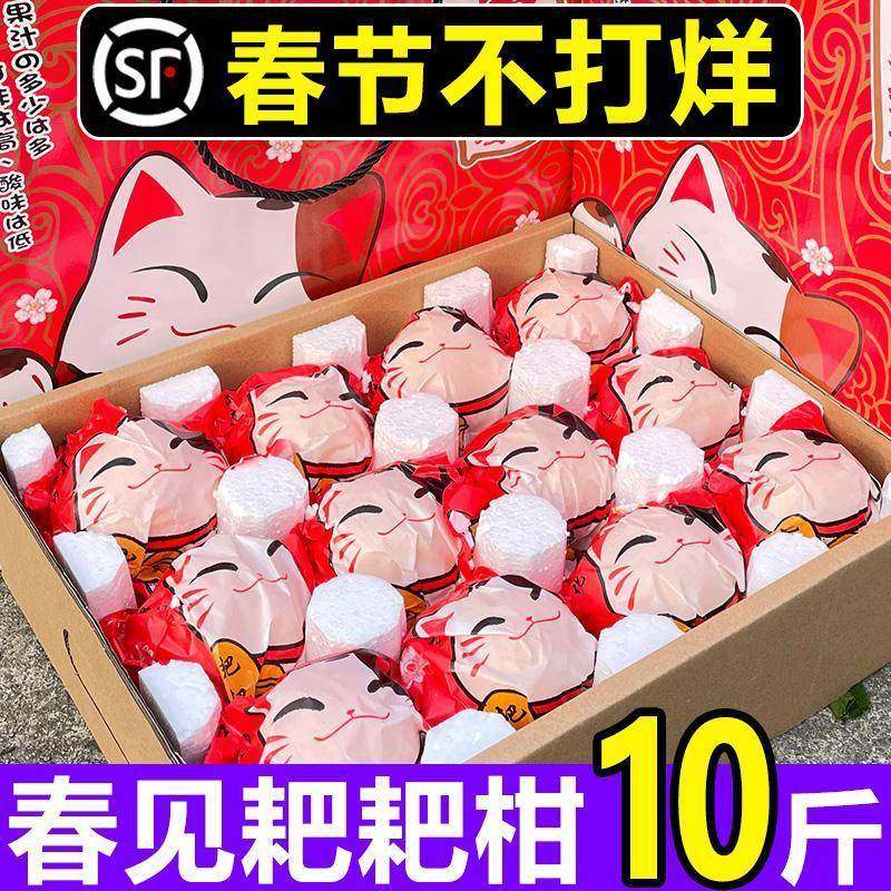 【现摘现发】四川春见耙耙柑10斤当季粑粑柑新鲜孕妇水果杷杷柑,水产肉类/新鲜蔬果/熟食,桔子,淘宝优惠券,粉丝福利购,淘宝优惠卷