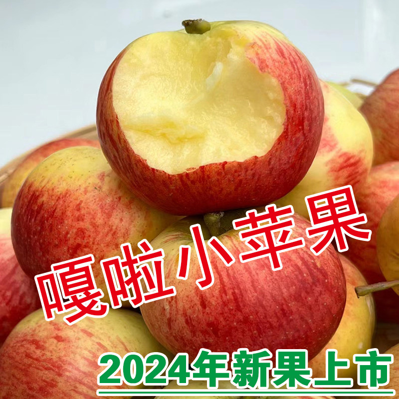 云南正宗米奇拉嘎啦苹果果肉粉面细嫩多汁孕妇老人小孩新鲜水果,水产肉类/新鲜蔬果/熟食,苹果,淘宝优惠券,粉丝福利购,淘宝优惠卷