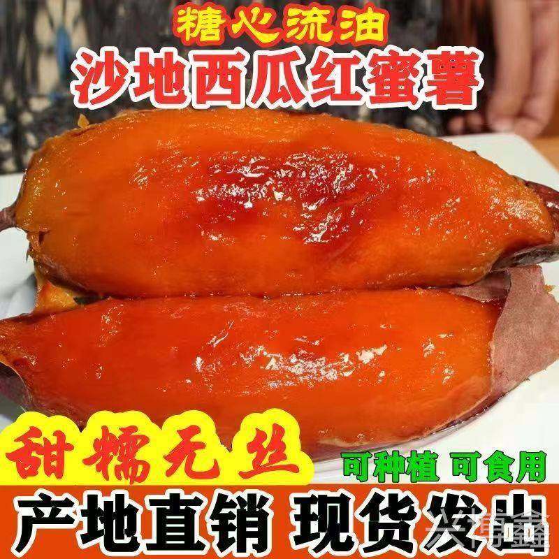 广东湛江沙地蜜薯糖心红薯新鲜超甜山东地瓜农家自种西瓜红板栗薯,水产肉类/新鲜蔬果/熟食,番薯,淘宝优惠券,粉丝福利购,淘宝优惠卷