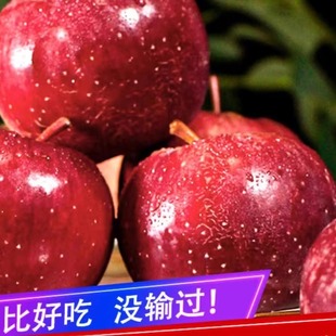 东北龙丰果新鲜大秋果新鲜沙果海棠果酸甜孕妇小苹果当季水果特产