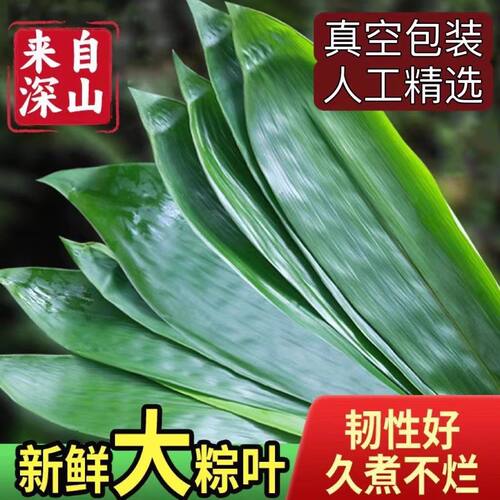 湖北纯野生特大粽子叶真空装