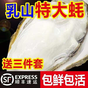 正宗乳山生蚝鲜活新鲜净重5斤【顺丰包邮】