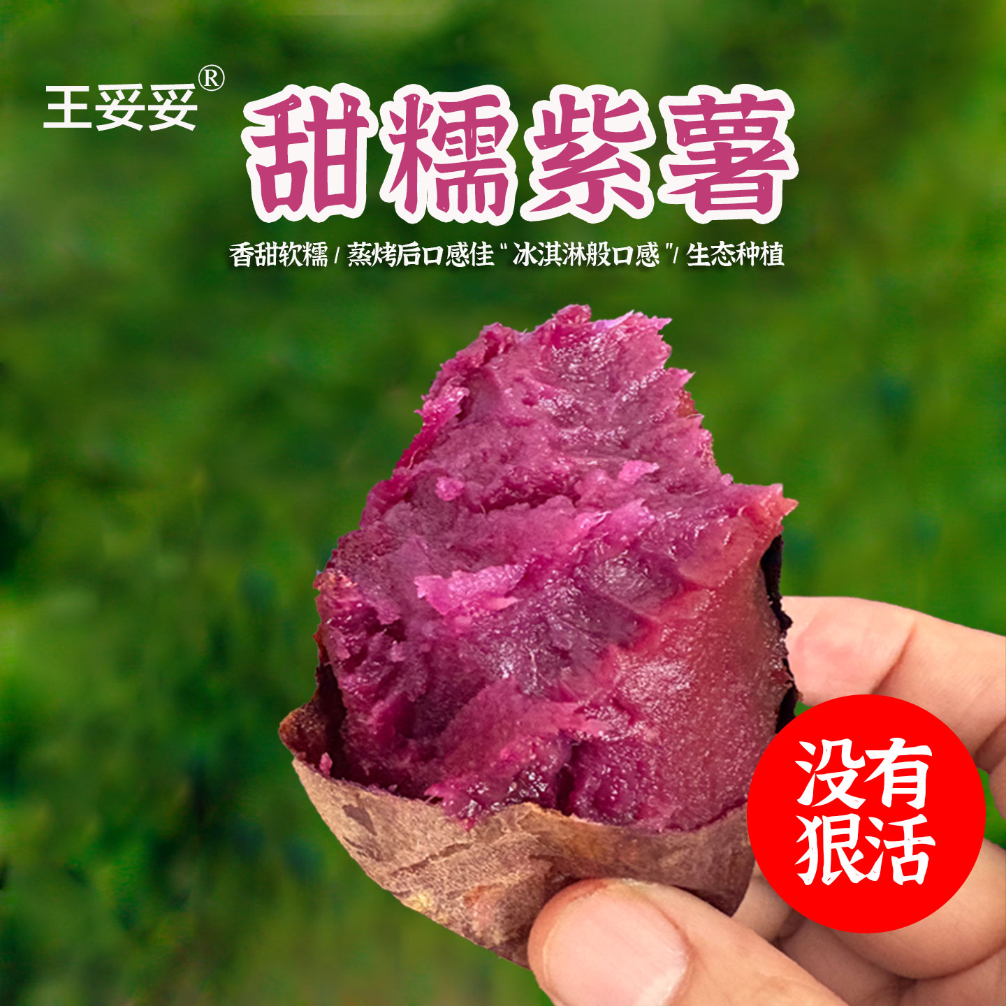 王妥妥®紫薯新鲜沙地小紫红薯农家自种番薯山芋香甜软糯蜜薯地瓜