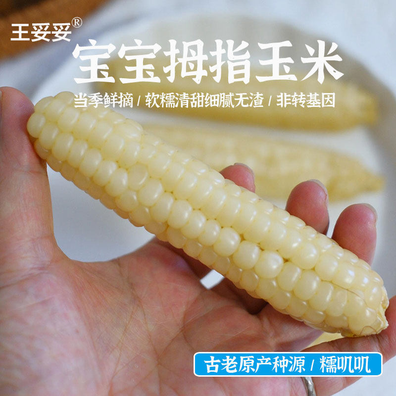 王妥妥®云南拇指玉米婴儿新鲜糯小玉米宝宝早餐 软糯非转基因