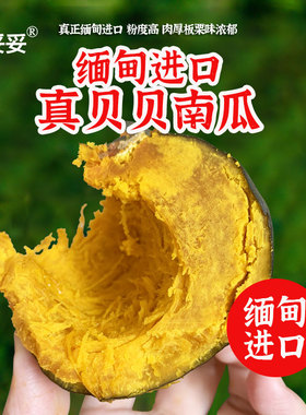现货限量600单~缅甸进口日本惠和一号真贝贝南瓜小南瓜正宗板栗味