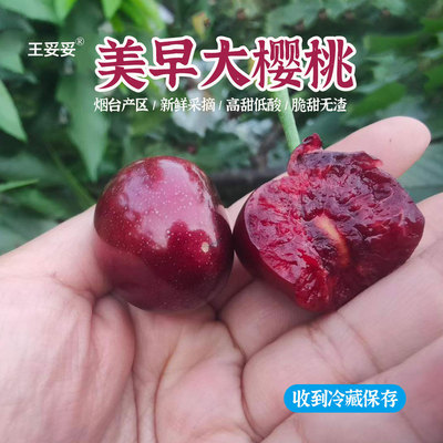 【结束/等明年】王妥妥®山东烟台露天美早大樱桃车厘子