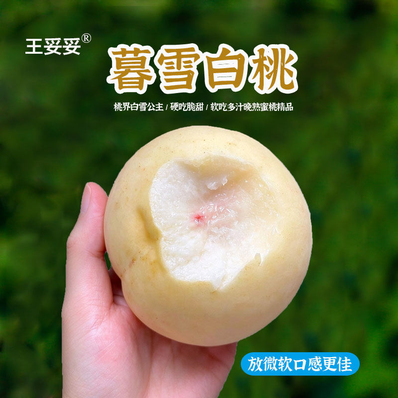 明天结束~王妥妥®山东白桃白雪冬桃蜜桃新鲜水果当季时令桃子