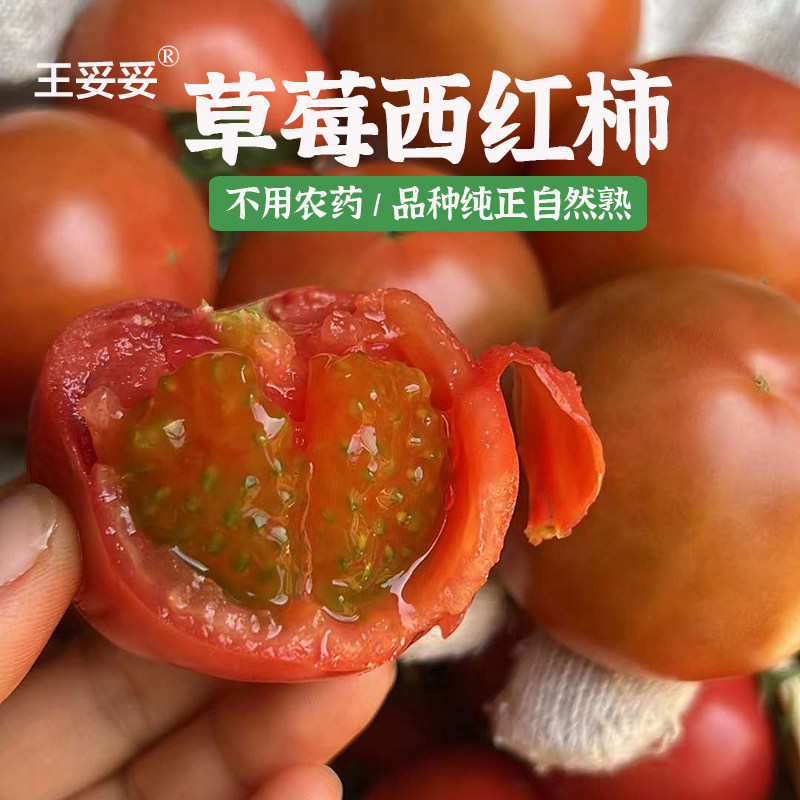 即将结束王妥妥®山东正宗铁皮草莓西红柿新鲜自然熟水果番茄生吃