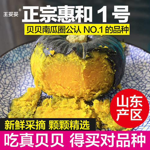 山东产区正宗惠和一号真贝贝南瓜