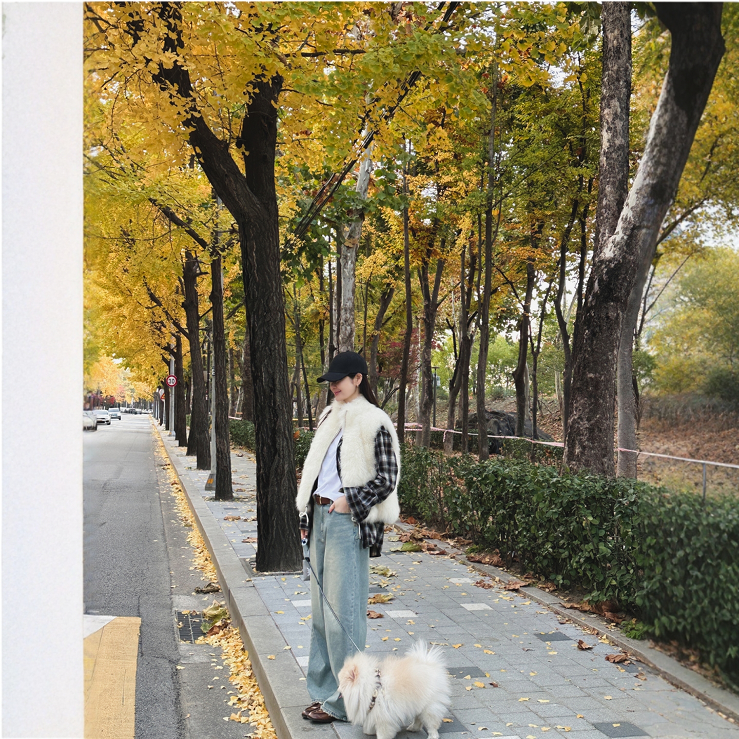 【韩国官网直邮】Partysu韩国代购正品女2025冬季刺绣水洗牛仔裤