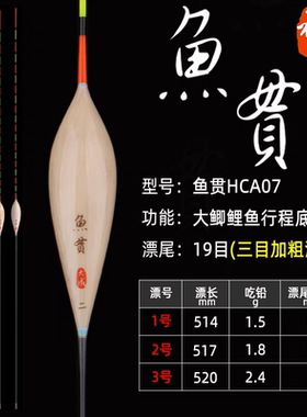 黄大成禅鱼贯系列芦苇鲫鱼浮漂钓黑坑野钓高灵敏HCA01-19透光滑尾