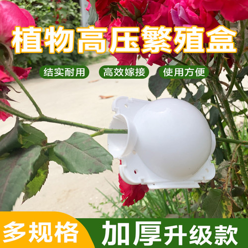 植物高压盒繁殖盒生根器