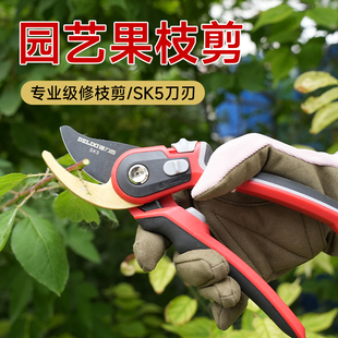 德力西园艺剪果枝剪花木剪园林花卉树枝果树藤蔓剪刀修枝剪刀