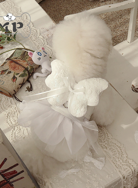 『Memory Pet』韩国代购cerize宠物发带发夹可爱白色天使翅膀胸背