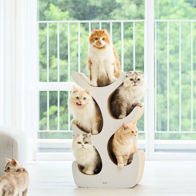 凯蒂树瓦楞纸猫塔隧道多用猫爬架