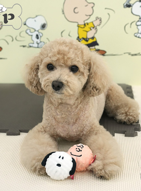 现货~韩国代购parisdog宠物狗狗史努比查理发声球形玩具