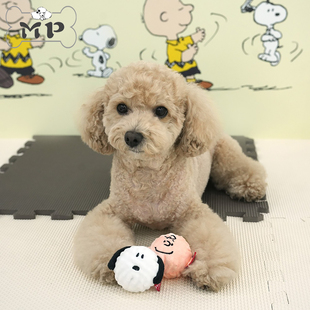 现货~韩国代购parisdog宠物狗狗史努比查理发声球形玩具