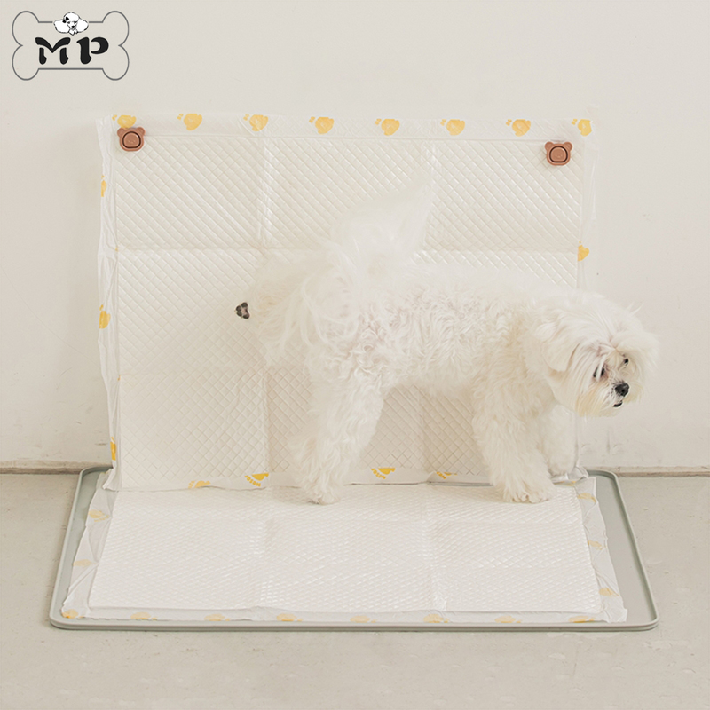 Biteme公狗专用宠物小熊磁铁扣