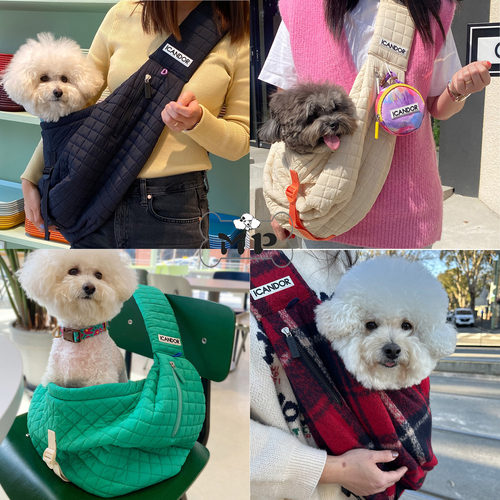 韩代IC宠物外出单肩斜挎包饺子包