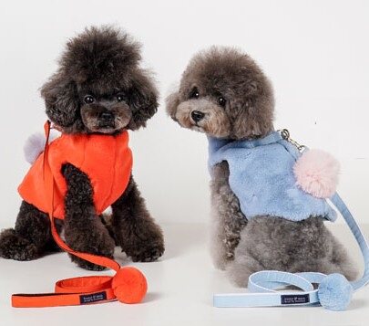 bonyndog皮草大衣式胸背牵引绳
