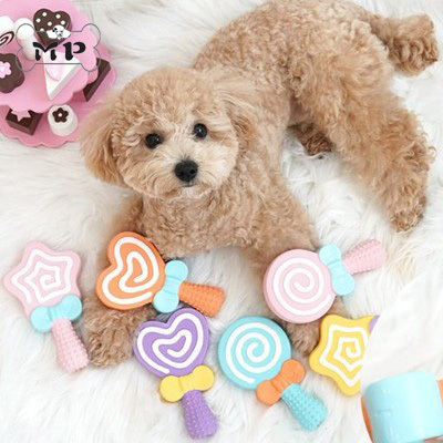 现货~韩国进口爱心乳胶宠物狗狗