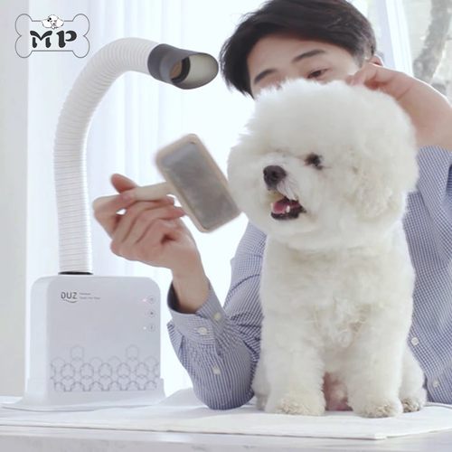 DUZ宠物高级触屏负离子吹风机