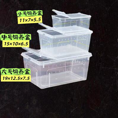 杜比亚蟑螂大麦虫蟋蟀饲养箱