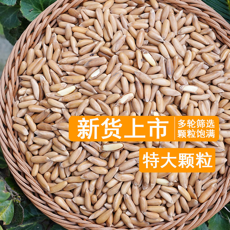 26年新货手剥巴西松子罐装净含量原味阿富汗特大坚果零食特产年货