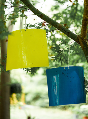 双面粘虫板诱虫板纸贴黄色沾黏虫板灭小飞虫果蝇粘板蓝板蔬菜大棚