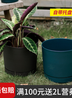 环球养花盆塑料安东尼盆栽月季多肉控根花盆圆形树脂种植盆带托盘