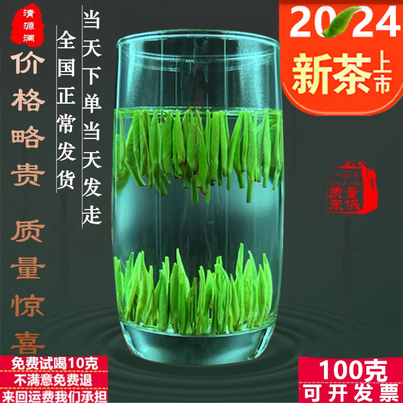 新茶春茶明前雀舌茶叶绿茶浓香型